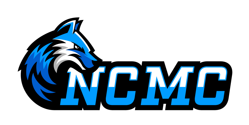 North Central Michigan